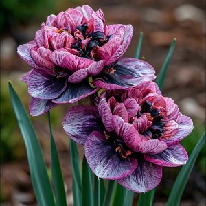 Нарцисс Моргатн Мотив купить по цене от 2000р. в интернет-магазине «Посадика» с доставкой почтой в в Хабаровске и по всей России – [изображение №1].