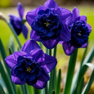 Нарцисс Арт Нуво купить по цене от 378р. в интернет-магазине «Посадика» с доставкой почтой в в Хабаровске и по всей России – [изображение №1].